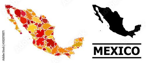 Mosaic autumn leaves and solid map of Mexico. Vector map of Mexico is constructed of scattered autumn maple and oak leaves. Abstract geographic plan in bright gold, red,