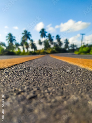 Wallpaper Mural road in the countryside Torontodigital.ca