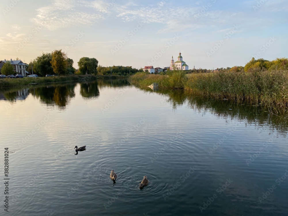 reflection in the lake