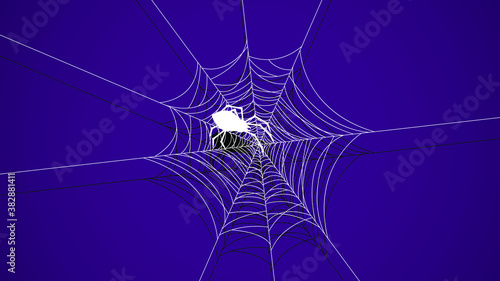 Spider Web On Dark Background Halloween Design Elements Spooky Scary Horror Decor Vector