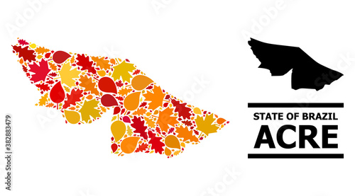 Mosaic autumn leaves and usual map of Acre State. Vector map of Acre State is organized of random autumn maple and oak leaves. Abstract geographic scheme in bright gold, red,