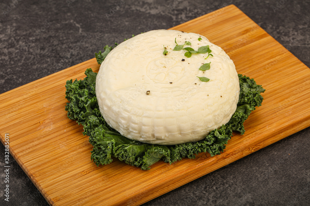 Caucasian suluguni round cheese piece Caucasian suluguni round cheese piece