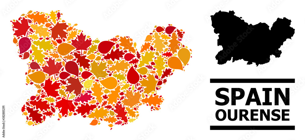 Mosaic autumn leaves and usual map of Ourense Province. Vector map of Ourense Province is constructed with scattered autumn maple and oak leaves. Abstract territory scheme in bright gold, red, Mosaic autumn leaves and usual map of Ourense Province. Vector map of Ourense Province is constructed with scattered autumn maple and oak leaves. Abstract territory scheme in bright gold, red,