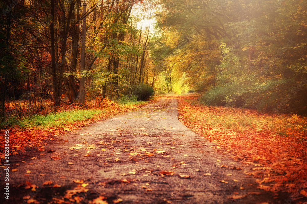 Obraz premium Herbst