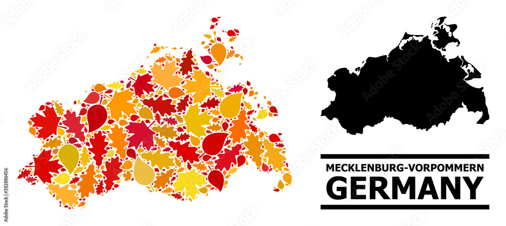 Mosaic autumn leaves and solid map of Mecklenburg-Vorpommern State. Vector map of Mecklenburg-Vorpommern State is designed with randomized autumn maple and oak leaves.