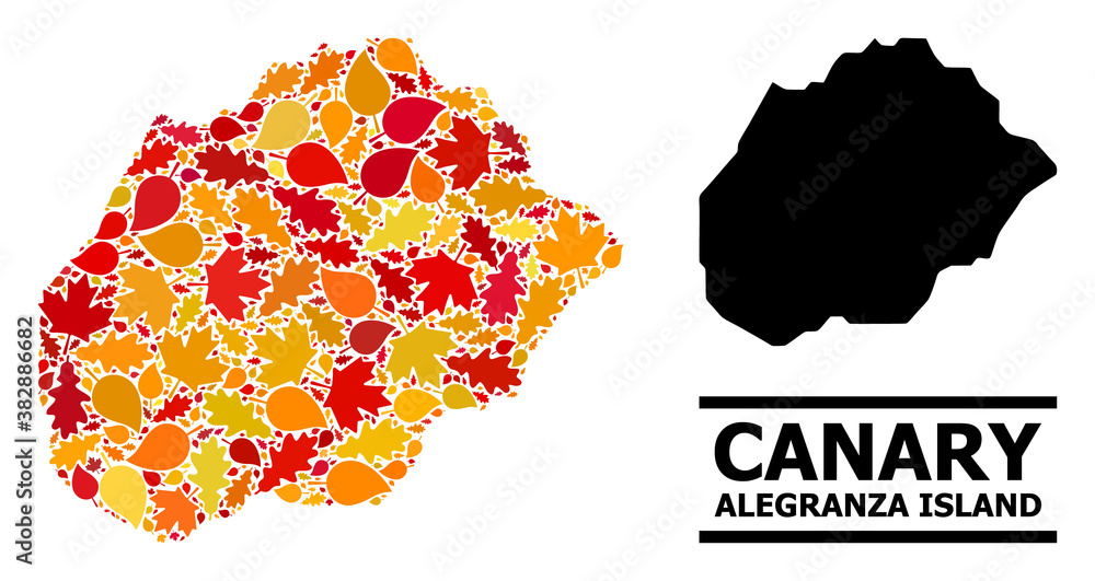 Mosaic autumn leaves and usual map of Alegranza Island. Vector map of Alegranza Island is designed with scattered autumn maple and oak leaves. Abstract territory scheme in bright gold, red,