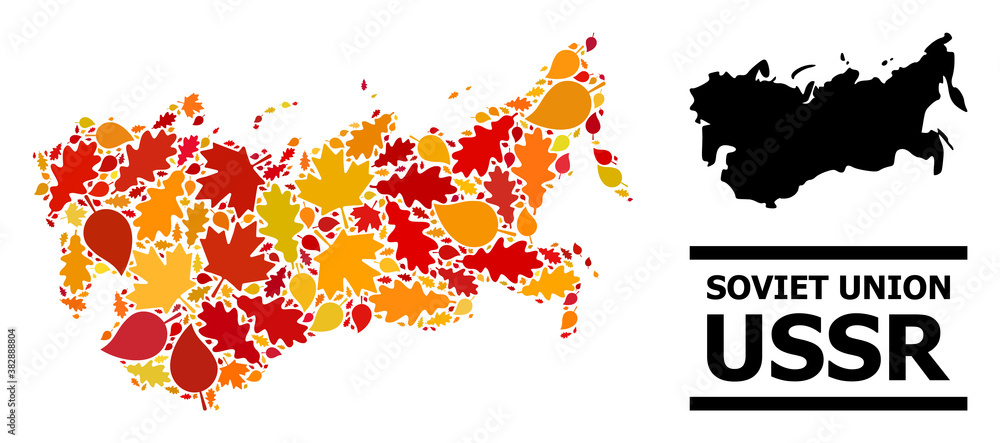Mosaic autumn leaves and solid map of USSR. Vector map of USSR is composed from random autumn maple and oak leaves. Abstract territorial plan in bright gold, red, brown colors for map of USSR. Mosaic autumn leaves and solid map of USSR. Vector map of USSR is composed from random autumn maple and oak leaves. Abstract territorial plan in bright gold, red, brown colors for map of USSR.