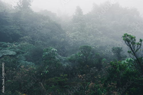 Foggy Forest near Volcano Poas © amelie