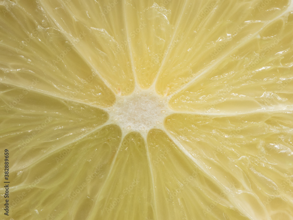 Lime slice. The heart of a citrus fruit. Macro photography.