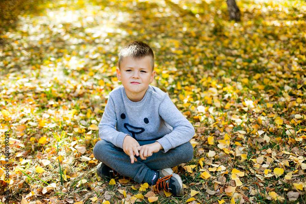 Portrait of a cute 5-6 years old boy sitting on the ground covered with autumn leaves. Outdoor llifestyle, autumn fall concept Portrait of a cute 5-6 years old boy sitting on the ground covered with autumn leaves. Outdoor llifestyle, autumn fall concept