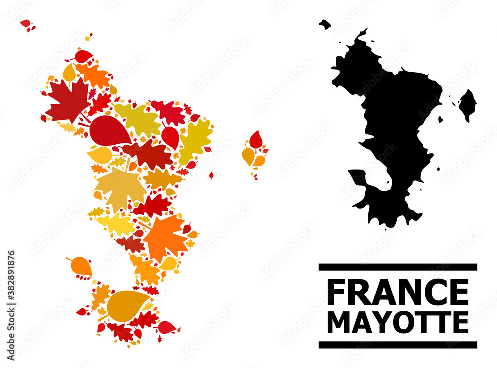 Mosaic autumn leaves and usual map of Mayotte Islands. Vector map of Mayotte Islands is composed with random autumn maple and oak leaves. Abstract territorial scheme in bright gold, red,