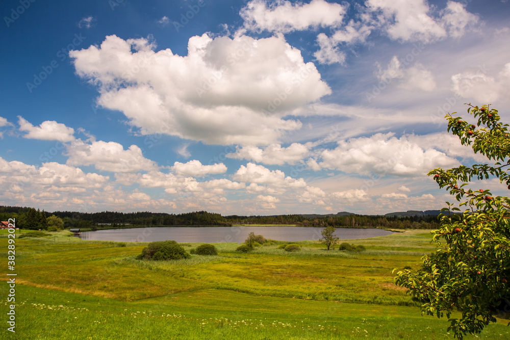 Großer Ursee im Taufach- und Fetzachmoos bei Leutkirch im Allgäu Großer Ursee im Taufach- und Fetzachmoos bei Leutkirch im Allgäu