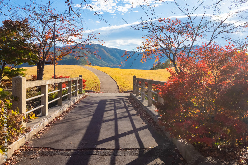 Obraz premium Japan. Autumn in Kawaguchiko. The path goes off into the distance. A bridge with a stone railing and a path against the mountains. Fuji. Mountain landscape of Japan. Travel to Japan in autumn.