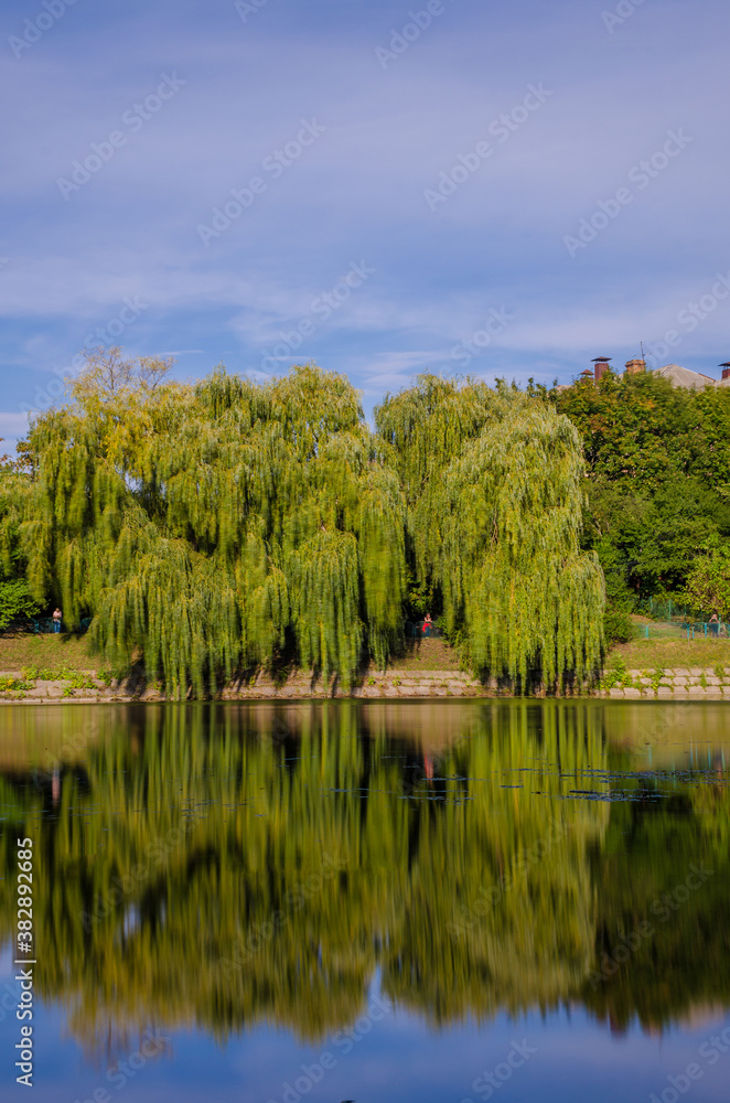 City park in the warm and sunny day during the autumn season. Landscape fulfilled of sunlight City park in the warm and sunny day during the autumn season. Landscape fulfilled of sunlight