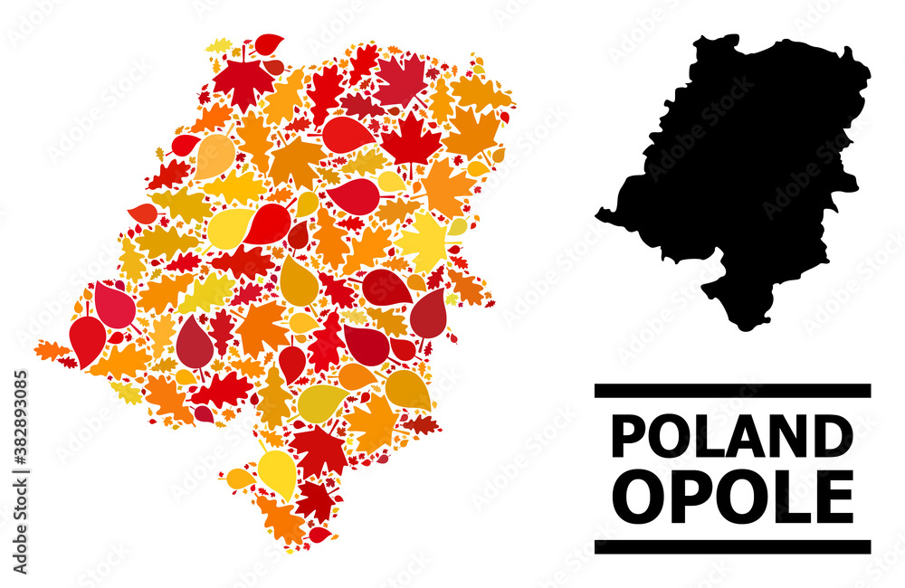 Obraz premium Mosaic autumn leaves and usual map of Opole Province. Vector map of Opole Province is done from scattered autumn maple and oak leaves. Abstract territorial plan in bright gold, red,