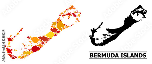 Mosaic autumn leaves and solid map of Bermuda Islands. Vector map of Bermuda Islands is formed from randomized autumn maple and oak leaves. Abstract territorial scheme in bright gold, red,