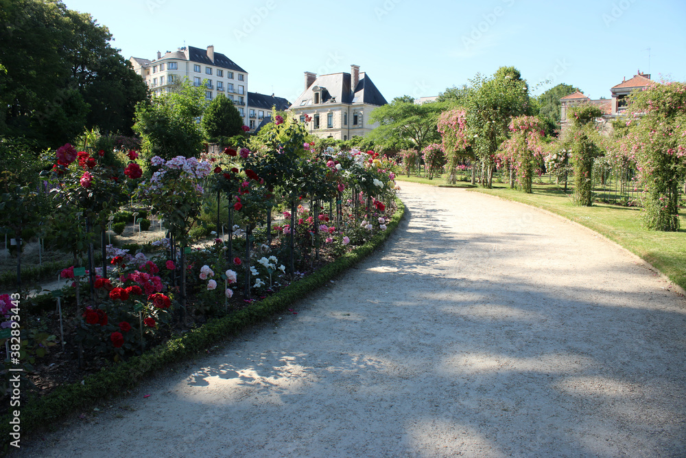 Rennes - Parc du Thabor- Jardin Botanique
