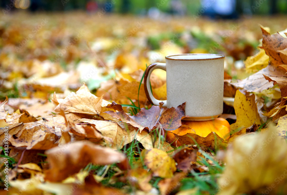 Ceramic Cup on autumn leaves