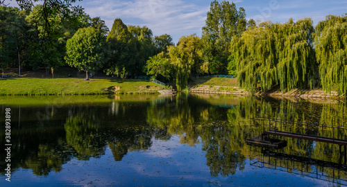 City park in the warm and sunny day during the autumn season. Landscape fulfilled of sunlight