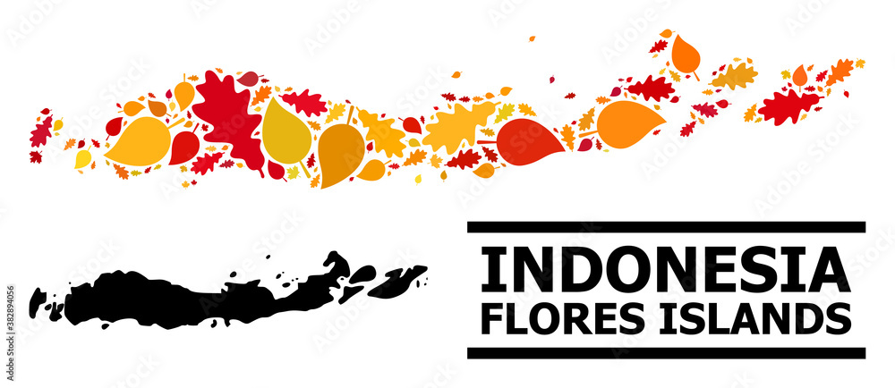 Mosaic autumn leaves and solid map of Indonesia - Flores Islands. Vector map of Indonesia - Flores Islands is made with scattered autumn maple and oak leaves. Mosaic autumn leaves and solid map of Indonesia - Flores Islands. Vector map of Indonesia - Flores Islands is made with scattered autumn maple and oak leaves.