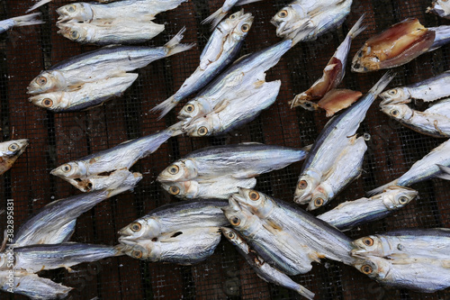 dried fish on a drying board photo