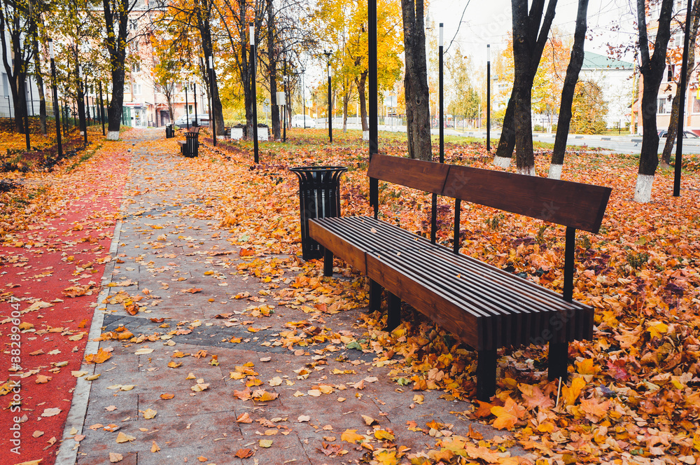 empty wooden benches in the autumn park with fallen leaves empty wooden benches in the autumn park with fallen leaves