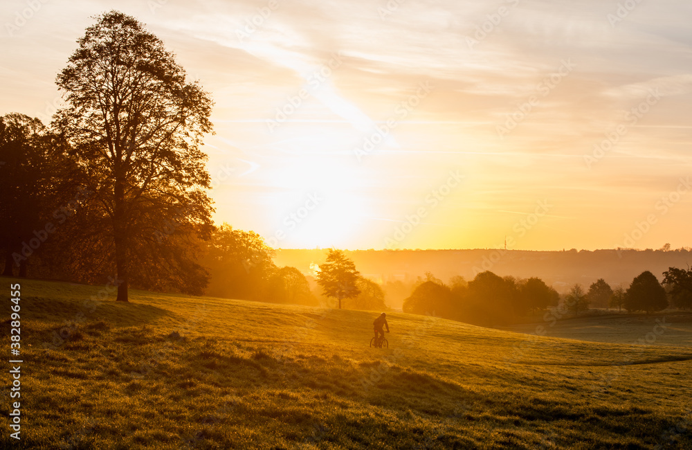 Obraz premium Glorious mornings