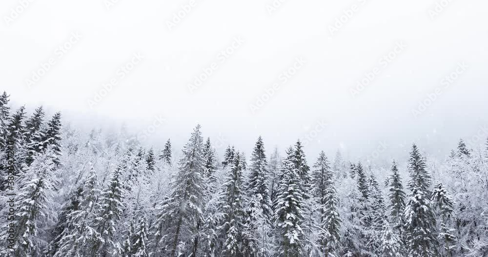 Snowy winter mountain landscape with snowfall. Snowy winter mountain landscape with snowfall.