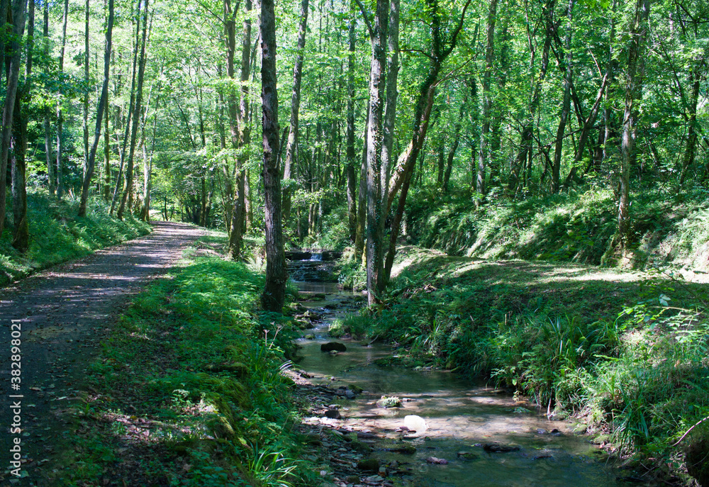 Paseo por el parque natural de Pagoeta Stock Photo Adobe Stock