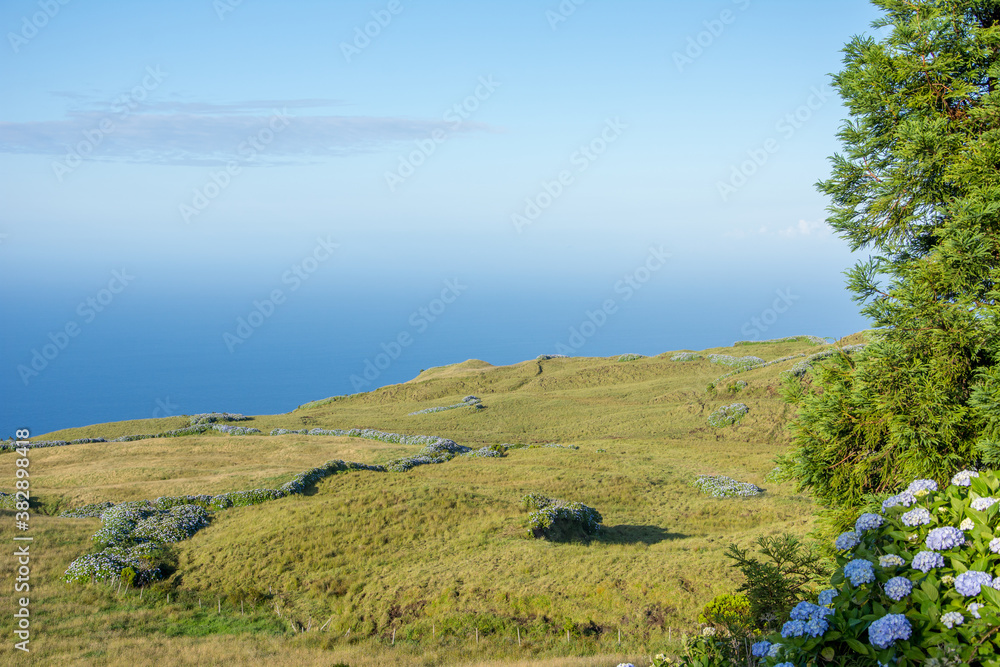 Obraz premium Walk on the Azores archipelago. Discovery of the island of sao jorge, Azores. Velas