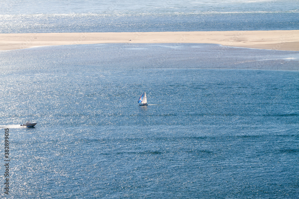 Fototapeta premium Water, trees and sand at the Dune of Pilat