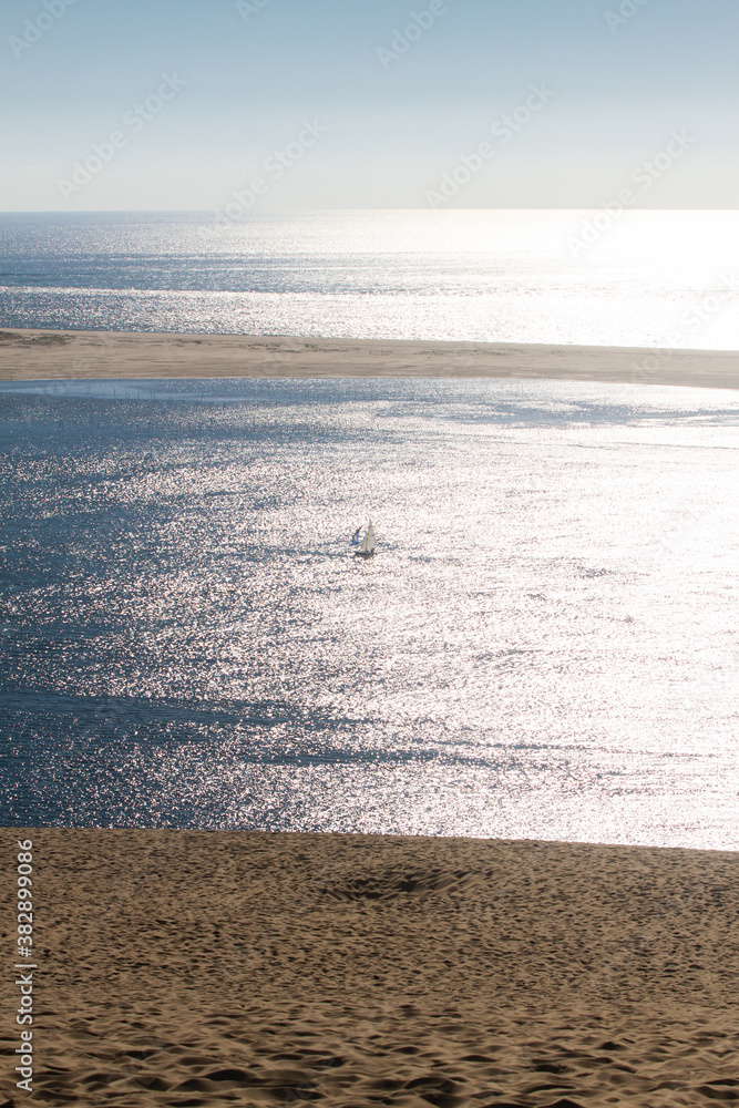 Obraz premium Water, trees and sand at the Dune of Pilat
