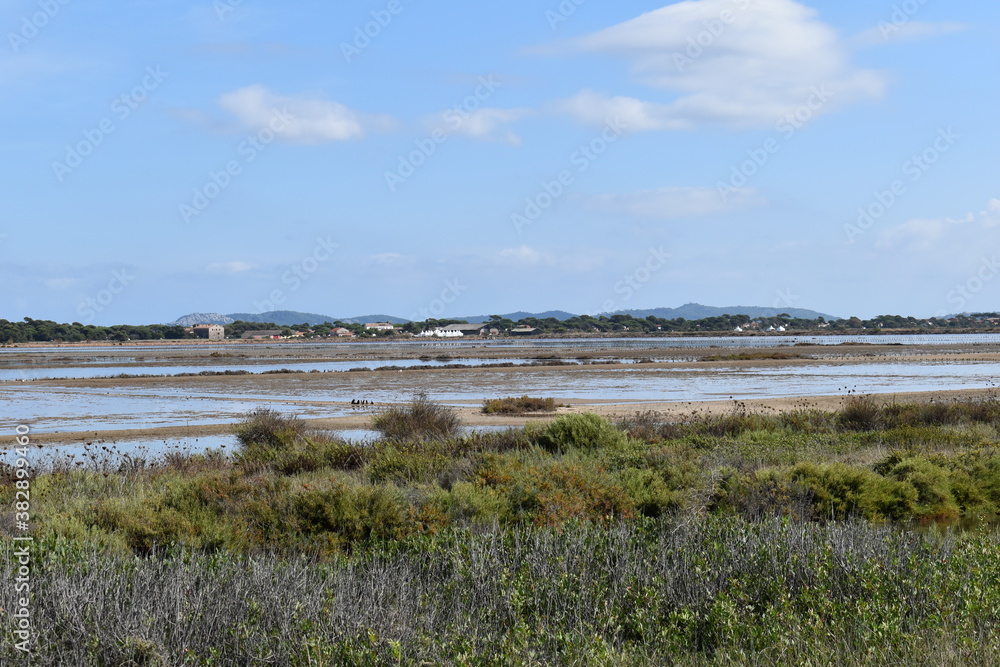 ROUTE DU SEL A HYERES