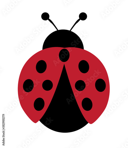 Vector Illustration of a Ladybug