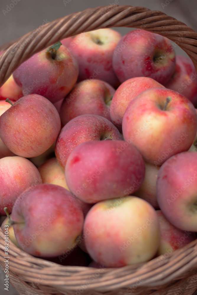 Fresh ripe red apples in a wicker basket. Autumn harvest Fresh ripe red apples in a wicker basket. Autumn harvest