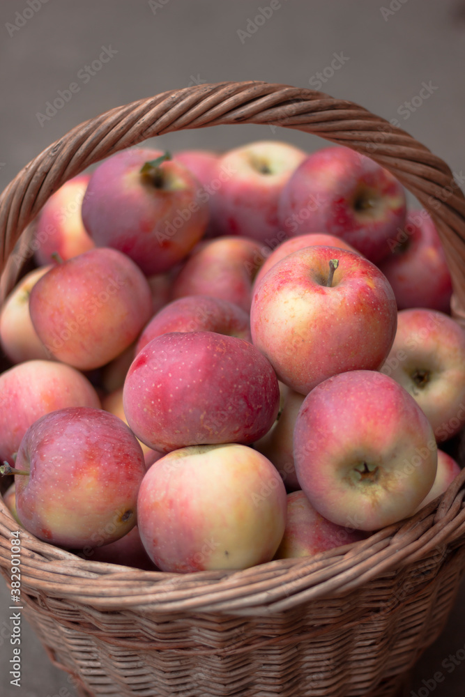 Fresh ripe red apples in a wicker basket. Autumn harvest Fresh ripe red apples in a wicker basket. Autumn harvest