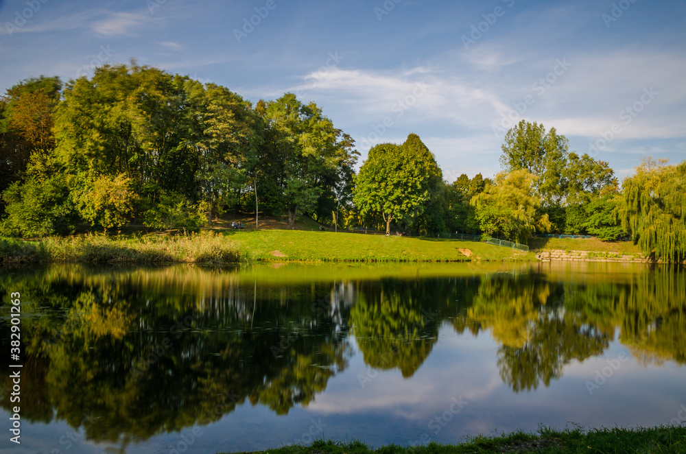 Fototapeta premium City park in the warm and sunny day during the autumn season. Landscape fulfilled of sunlight