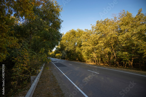 Road in the autumnal forest. Autumn landscape with road and beautiful colored trees.