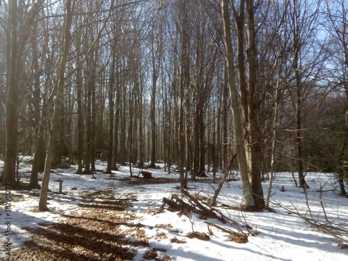 santa fe de montseny 1