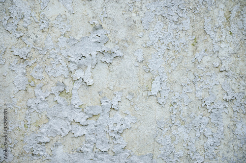 the old white plastered wall with peeled off paint