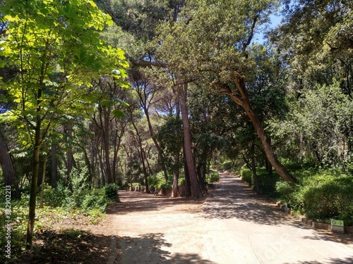 laberint d'horta 2