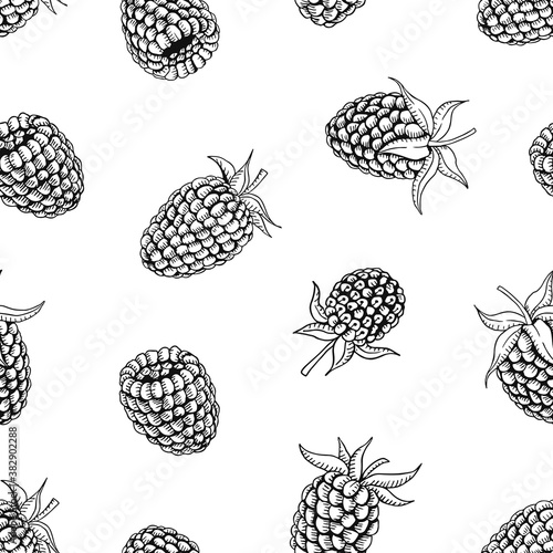 Organic collection. Vector hand drawn summer seamless pattern with raspberry on a white background