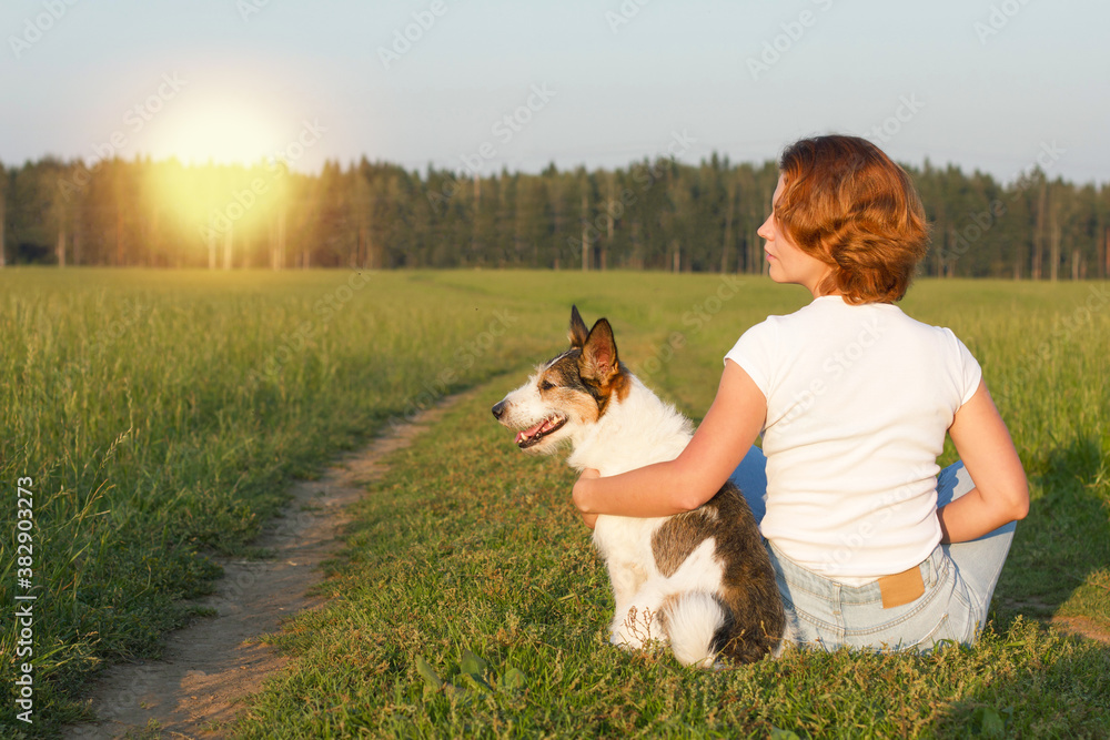 A woman and her dog are sitting in the evening, in a field opposite the forest, meeting the sunset. Copy Space A woman and her dog are sitting in the evening, in a field opposite the forest, meeting the sunset. Copy Space