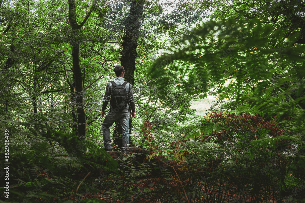 Naklejka premium Liberation