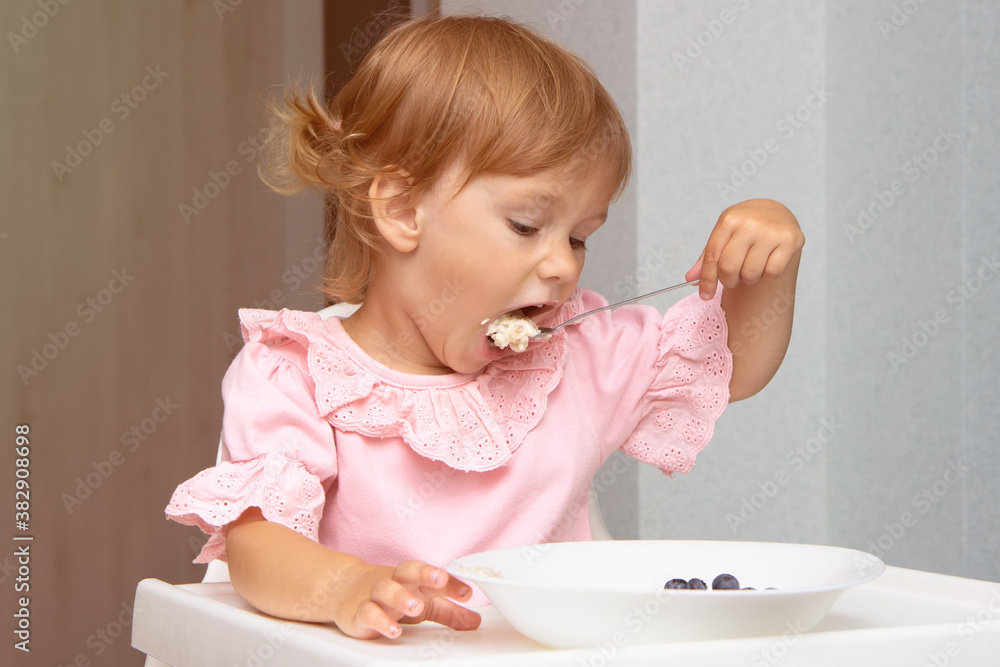 Little kid girl eating her morning porridge oatmeal with blueberries herself, sitting in baby chair in kitchen Little kid girl eating her morning porridge oatmeal with blueberries herself, sitting in baby chair in kitchen