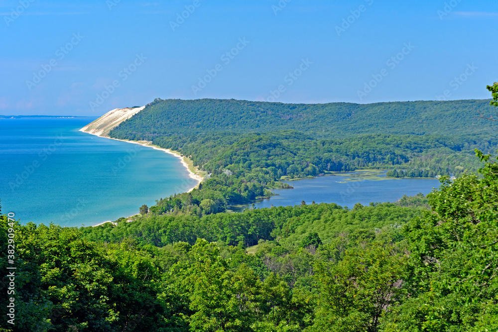 Forested Sand Dunes on a Sunny Day