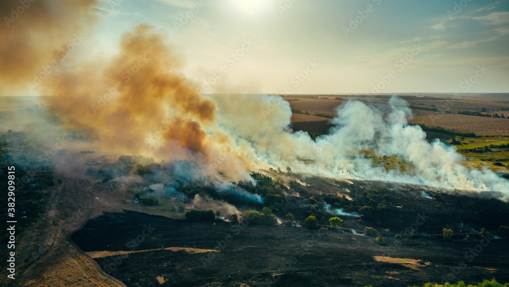 Burning dry grass and trees. Natural disaster in forest, aerial view from drone. Fire in nature with smoke. Burning dry grass and trees. Natural disaster in forest, aerial view from drone. Fire in nature with smoke.