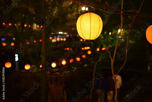 Fototapeta Naklejka Na Ścianę i Meble -  日本の山口県岩国市の賑やかな山の店