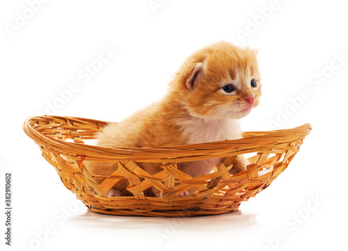 Kitten in a basket. © voren1