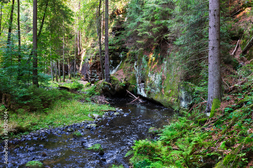 Wild summer Landscape around the Creek with Boulders and Rock in the Czech Switzerland  Czech Republic